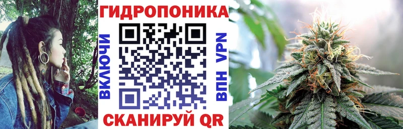 Бошки марихуана конопля  omg ТОР  Старая Русса 